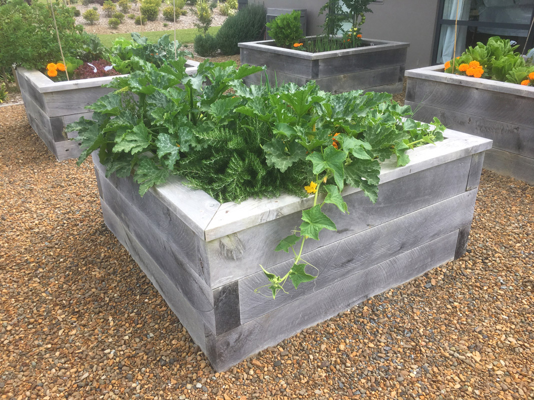 Vegetable planters